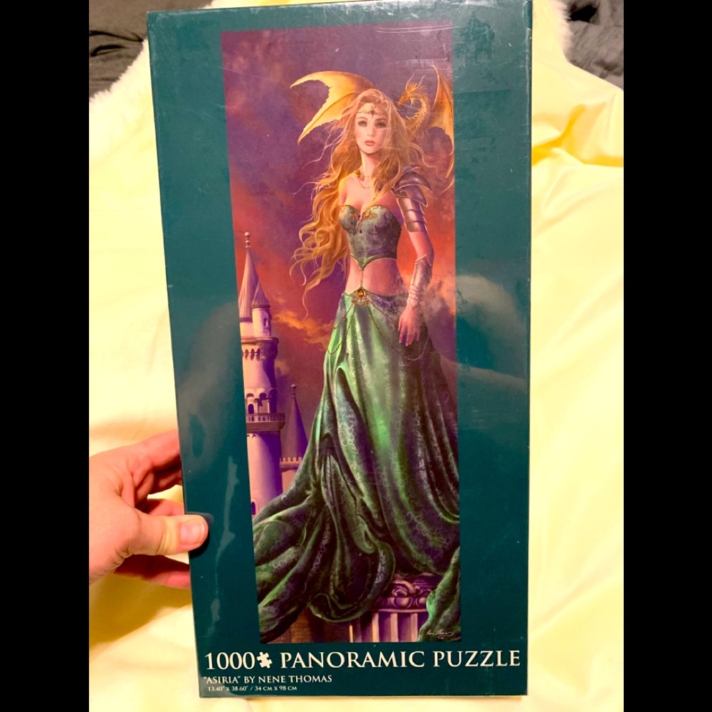 1000 piece puzzle